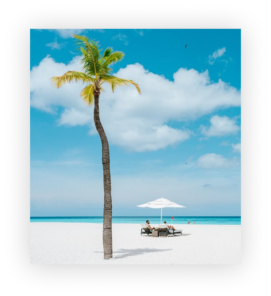 Palm tree and family on a beautiful beach in Aruba