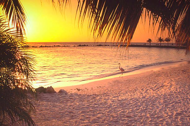 Beautiful sunset on a precious beach in Aruba